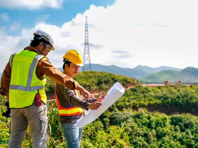 Orman Kadastrosu Nedir?